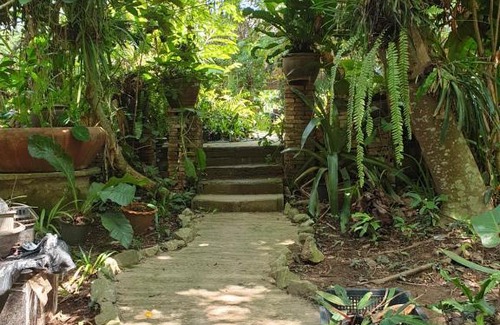 Nong Khai House | บ้านสวน โฮมสเตย์