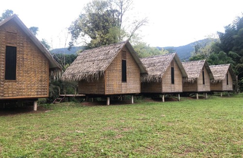 Bo Kluea Other | วิวสว้า โฮมสเตย์