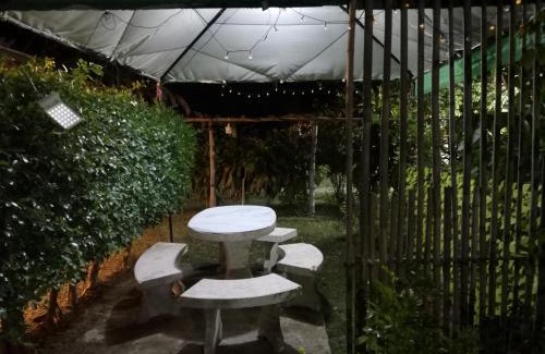 Chiang Khan Other | สวนตาคูณเชียงคาน 2