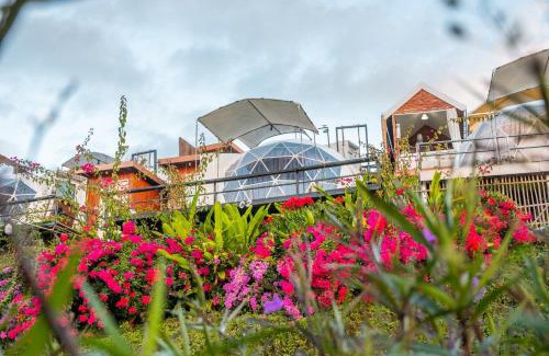 Mae Rim House | หยดฝน โฮมสเตย์