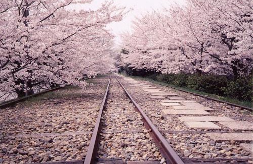 Yamashina Villa | 京都観光に最適 ペットok 名神東インターから1分 3LDK無料駐車場付 京都駅から1駅 山科駅周辺 蹴上インクラインまで10分