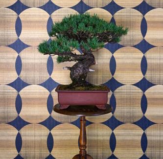 Sakurai House | 宿Joan