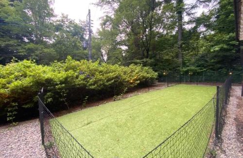 Nikko Villa | 森の中のぽつんとワンワン別荘