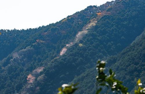 Aridagawa Villa | 老房子 日日 (くらすように泊まるくら日日)