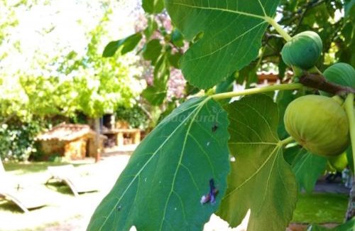 Ciudad Rodrigo House | 0325 House in Ciudad Rodrigo