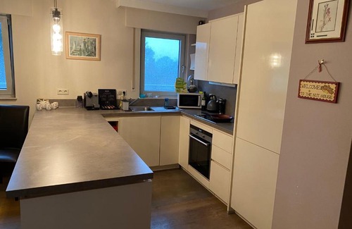 Bridel Apartment | 1 (94m2) bedroom penthouse in Bridel