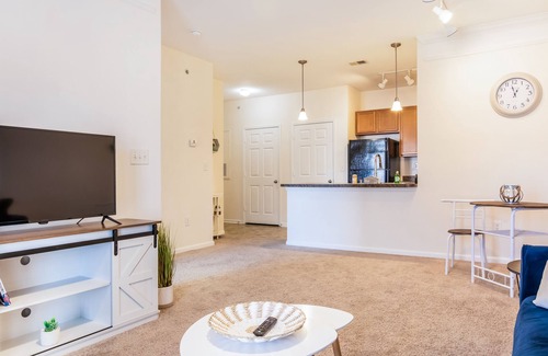 Johnson City Apartment | 1 Bdrm/1 Bath Pool, Gym, Sand Volleyball Court, 10 Mins From Downtown