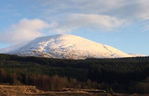 Galloway Forest Park House | 1 Bed Cabin in the Magical Galloway Forest Park