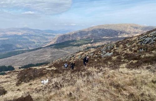 Galloway Forest Park House | 1 Bed Cabin in the Magical Galloway Forest Park