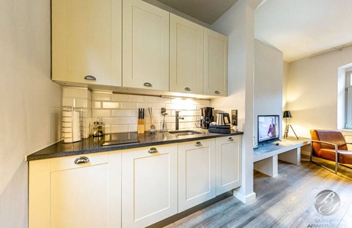 Heidelberg City Centre Apartment | 1 bedroom apartment in heidelberg
