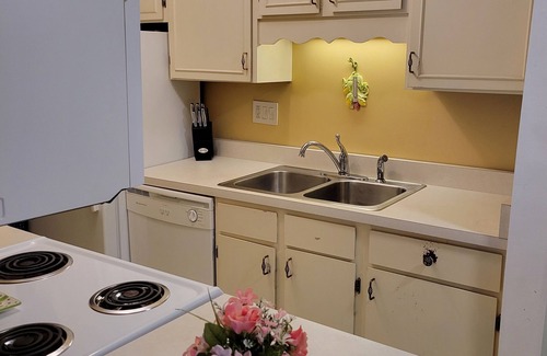 South Hills Condo | 1 BR, 1 Bath, End Unit Condo - Fully Furnished