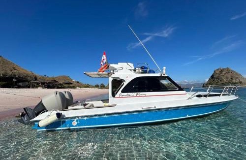 Labuan Bajo Boat Rental | 1 Day Fast boat trip Komodo By Bestkomodotour