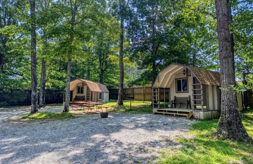 Manchester Cabin | 1 Room Camping Cabin - Enjoy a cabin with air conditioning and real beds!
