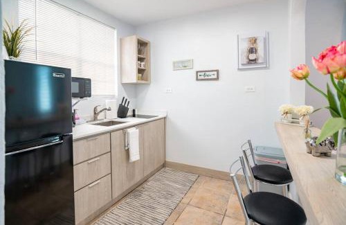 Santurce Apartment | 1 Santurce 1 Bedroom 1Bathroom Apt