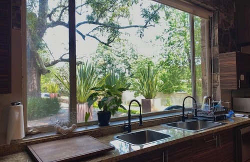 Tapalpa Cabin | 10. The Tree Housen