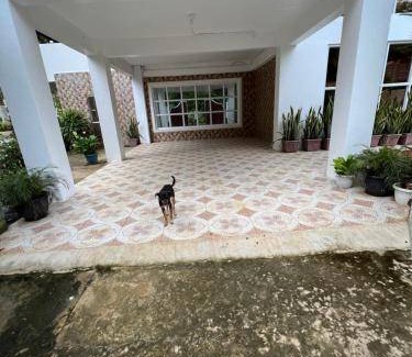 Libona House | 1000 m² House ∙ 4 bedrooms ∙ 8 guests