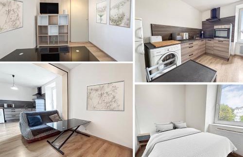 Audincourt Apartment | 102-T2 cosy 2 pers Lumineux Wifi & Parking