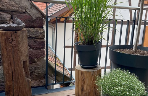 Blaesheim House | 120m² village house with 3 bedrooms and terrace, ideal for couples of friends
