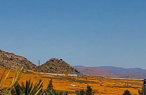 Springbok House | 13 Steps