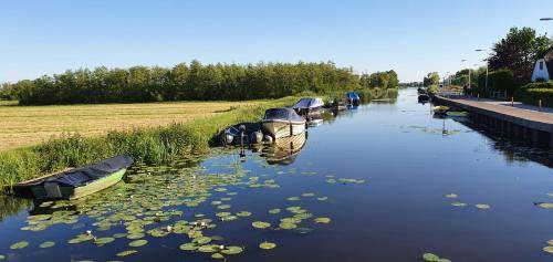 Municipality of Zoetermeer Bed & Breakfast | 16 m² Bed and breakfast ∙ 2 guests