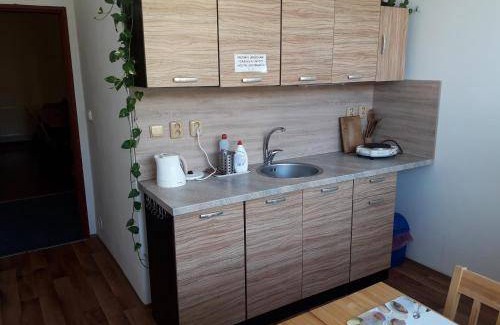 Litomerice Bed & Breakfast | 16 m² Bed and breakfast ∙ 4 guests