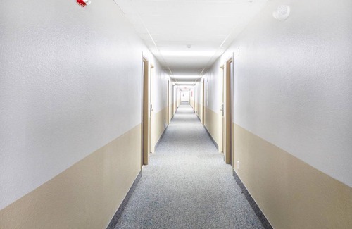 Shelby Hotel | 17 m² Hotel ∙ 127 guests
