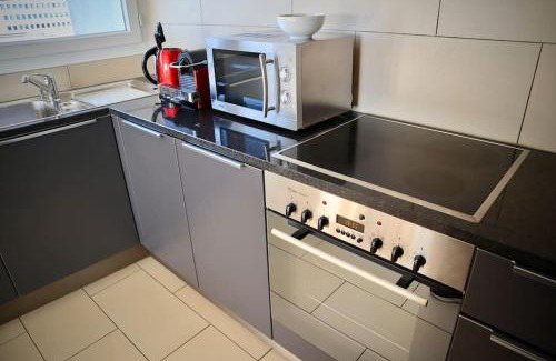 Lausanne Apartment | 179 Comfortable sunny quiet good location and free parking included