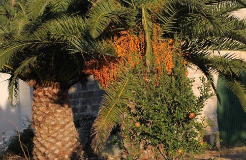 Nardo House | 180 m² House ∙ 3 bedrooms ∙ 12 guests
