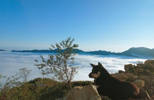 Bac Yen Apartment | 1941M Homestay Tà Xùa