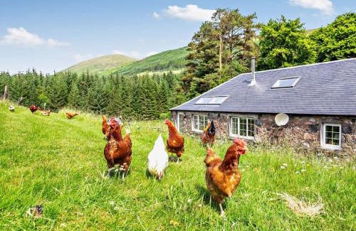 Fort William House | 2 Bed in Fort Willam 50975