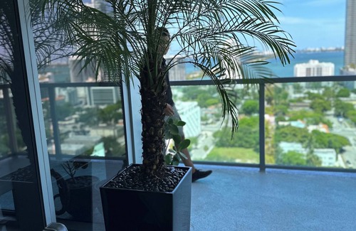 Overtown Apartment | 2-bedroom apartment in awesome Miami with AC, fitness room, WiFi