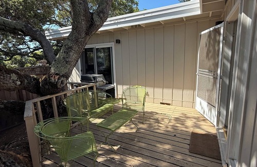 Belmont Cottage | 2 Bedroom Treehouse Cottage
