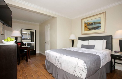 Ocean Beach Hotel | 20 m² Hotel ∙ 127 guests