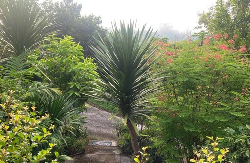 Wiang Pa Pao Villa | 200 m² Villa ∙ 5 bedrooms ∙ 10 guests
