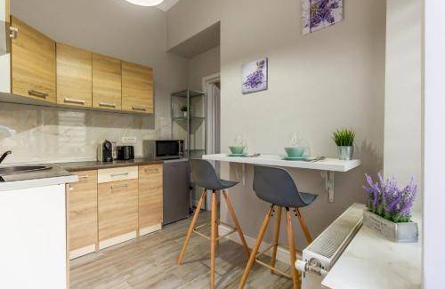 Cluj-Napoca Apartment | 23 m² Apartment ∙ 1 bedroom ∙ 2 guests