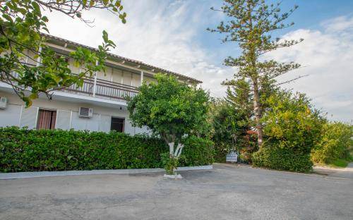 Laganas Bed & Breakfast | 25 m² Bed and breakfast ∙ 3 guests