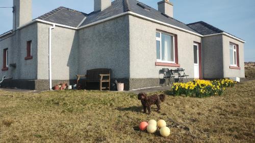 Arnol House | 27 Garenin