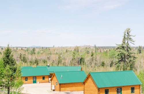 Columbia Falls Cabin | #28 - Flagpole View Cabins - King Plus Cabin