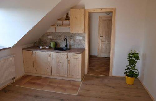 Dolni Cermna Bed & Breakfast | 28 m² Bed and breakfast ∙ 4 guests