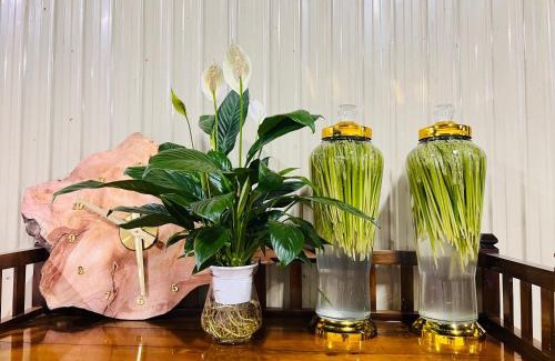 Ha Giang House | 2A Travel-Homestay