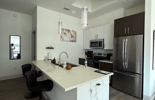 Texas Medical Center Condo | 2BD/2BA Rolls-Royce Inspired City Highrise w/Rooftop Pool