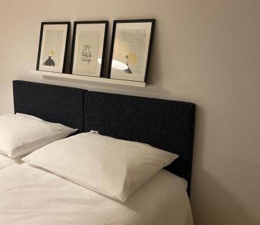 Alt-Wiedikon Apartment | 3 BR Duplex in Wiedikon