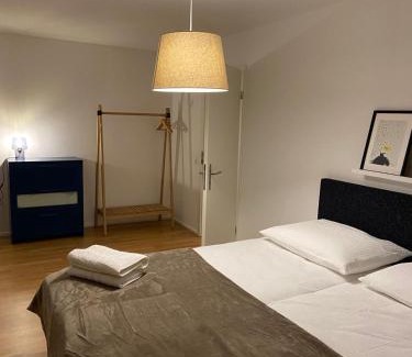 Alt-Wiedikon Apartment | 3 BR Duplex in Wiedikon