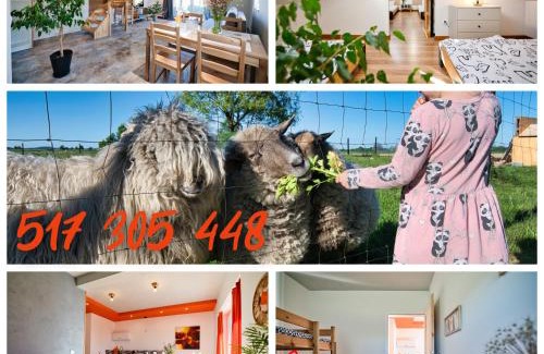 gmina Przeciszow Apartment | 3 Stodoły-mieszkanko