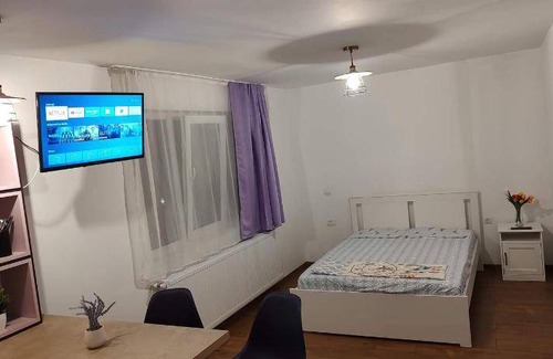 Tirgu Ocna Apartment | 30 m² Apartment ∙ 1 bedroom ∙ 4 guests