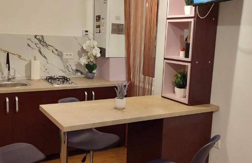 Tirgu Ocna Apartment | 30 m² Apartment ∙ 1 bedroom ∙ 4 guests