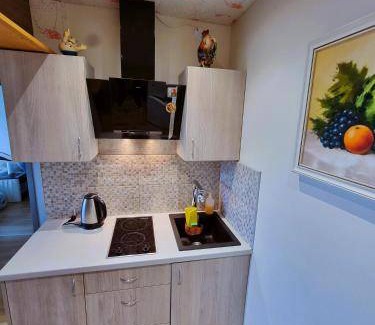 Palanga Apartment | 31 m² Apartment ∙ 1 bedroom ∙ 4 guests