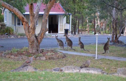 Stanthorpe Bed & Breakfast | 31 The Rocks
