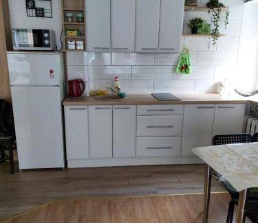 Druskininkai Apartment | 34 m² Apartment ∙ 1 bedroom ∙ 4 guests