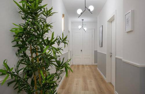 Trieste Old Town Apartment | 35 m² Apartment ∙ 1 bedroom ∙ 2 guests